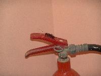 "�������"