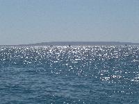 ���� �������� ����