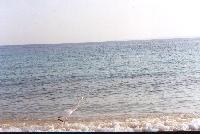 ����� "Sea Gull"