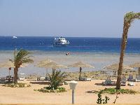 ������� �����.��� �� ������.