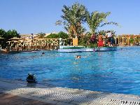 ���-�� ����� ������.