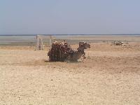 �������-�������