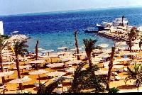 ����� "Sea Gull"