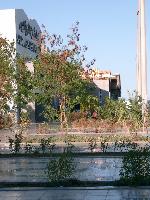 ������ ��������� � ����-���-����-�