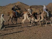 �� ���������:)