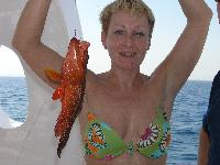 ������� �������!