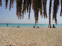 ������� ������!