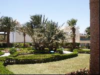 Royal Palace. ���������� �����.