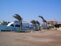 ��� ���� �������