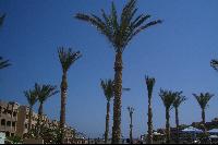 ��� ���� �������