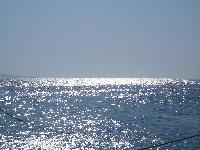 ��� ���� �������