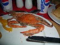 ��� ���� �������