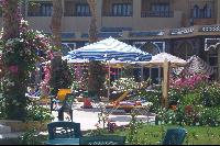 ��� ���� �������