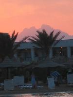 �������� ����