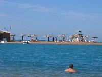 ����� ������� �����