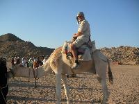 ��� �� ������?