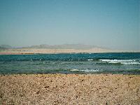 ����� ����