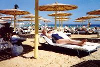 ����� "Sea Gull"