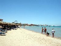 Royal Palace.  ����.