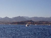 ����������� � ���� (���)