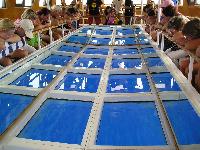 ���� #02 � �������� ����� � DOMINA CORAL BAY