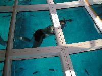 ���� #03 � �������� ����� � DOMINA CORAL BAY