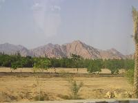 ���� #45 � �������� ����� � DOMINA CORAL BAY