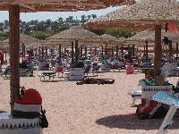 Domina Coral Bay ���� � ���