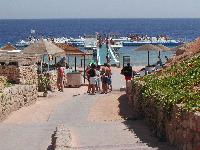 Domina Coral Bay ������� � �������