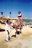 ����� "Sea Gull"