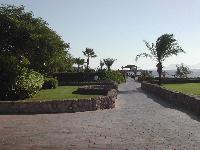 Domina Coral Bay ������� � Bahia bar