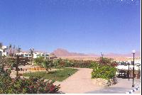 ����� ��� �� ������