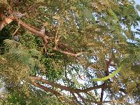 ���������� �����