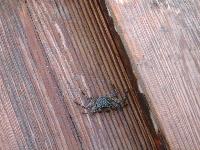 ��� ����� ��!