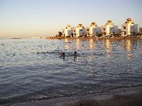 ������ �����