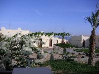 ������ ��� �����������