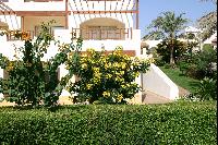 ���������� �����