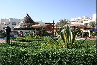 ���������� �����