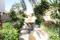 ���������� �����