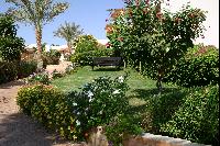 ���������� �����