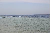 ��� �� ������