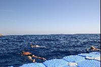 ��� � �������