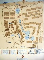 ���� �����