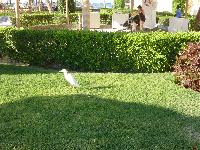 �� ������� � ��������