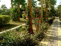 ������ �� ����