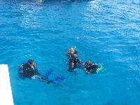 ����������)