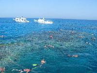 �����������))