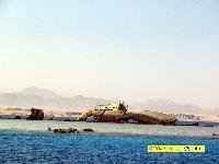 �. �����