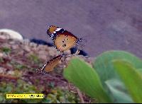 �������...