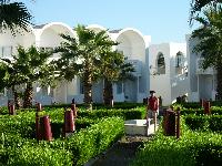 ������ ������